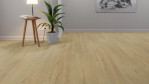 EG-widford-eiche-home-laminat-418555-1-Relationsbild-01