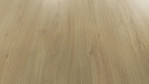 EG-widford-eiche-home-laminat-418555-Schraeg