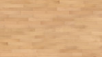 HA-buche-ged_e-trend-nd-4000-tc-scb-parkett-Top