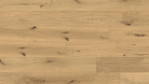 HA-eiche-invis-sauv-str-naturalin-4000-lhd-park-535618-Top
