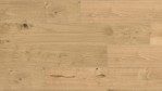 HA-eiche-invis-sauv-str-naturalin-4000-lhd-plaza-tc-park-538965-Top