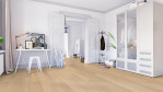 HA-eiche-lichtw-mark-str-naturalin-4000-lhd-park-541859-Altbau-03