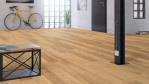 HA-eiche-mark-str-naturalin-4000-lhd-park-528682-Loft-02