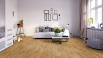 HA-eiche-naturale-str-naturalin-4000-schiffsb-tc-park-541928-Altbau-02