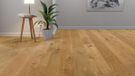 HA-eiche-sauv-str-naturalin-4000-lhd-plaza-tc-park-536975-1-Relationsbild-01