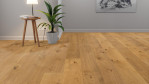 HA-eiche-uni-alpin-str-naturalin-4000-lhd-plaza-tc-park-538966-1-Relationsbild-01