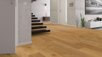 HA-eiche-uni-alpin-str-naturalin-4000-lhd-plaza-tc-park-538966-Penthouse-03
