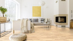 HA-esche-lichtw-fav-str-naturadur-4000-schiffsb-tc-park-541853-1-Skandinavien-01
