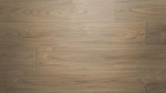 HA-ulme-var-auth-soft-tritty-100-s-ct-tc-laminat-544722-Close