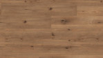 MW-dd500s-6843-feldeiche-hell-designboden-5972006843-Top