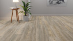 MW-dd500s-6977-wildeiche-grau-designboden-5972006977-1-Relationsbild-01