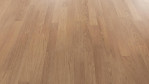 MW-eiche-natur-lc-55-laminat-6064006067-Schraeg
