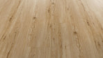 MW-eiche-springdale-rd-300-s-debo-5941007395-Schraeg