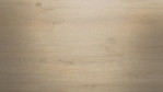MW-laminatboden-meisterdesign-laminate-ld-150-eiche-champagner-Close