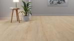 MW-laminatboden-meisterdesign-laminate-ld-250-eiche-champagner-1-Relationsbild-01