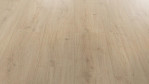 MW-laminatboden-meisterdesign-laminate-ld-250-eiche-champagner-Schraeg