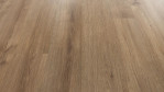 MW-laminatboden-meisterdesign-laminate-ll-150-altholzeiche-natur-Schraeg
