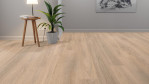 MW-laminatboden-meisterdesign-laminate-ll-150-feldeiche-hell-1-Relationsbild-01