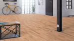 TH-1195-Buche-no.1110-FePa-SchB-3Stab-1199012318-Loft-02