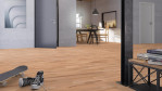 TH-1195-Buche-no.1110-FePa-SchB-3Stab-1199012318-Loft-03