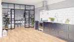TH-ahorn-kanadisch-lack-satin-elem-pa-1101010114-1-Apartment-01