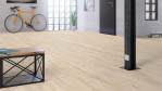 TH-eiche-deimos-gebuerstet-classic-edition-debo-1101250404-Loft-02