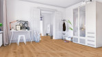 TH-eiche-juno-gebuerstet-grand-edition-debo-1101250214-Altbau-03