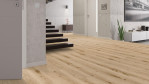 TK-delicate-eiche-barley-insp-click-30-vinyl-24627094-Penthouse-03