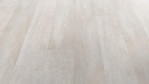 WS-caribic-hut-forest-impress-debo-AEUR001-Schraeg