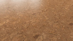 WS-cork-Essence-Kork-Dawn-Korkboden-O849003-Schraeg-Top