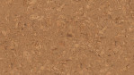 WS-cork-Essence-Kork-Dawn-Korkboden-O849003-Top