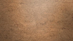 WS-cork-Essence-Kork-Symphony-Korkboden-O830003-Close