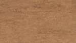 WS-cork-Essence-Kork-Symphony-Korkboden-O830003-Top