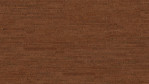 WS-cork-go-allure-GB02002-Top