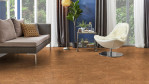 WS-cork-pure-accent-natural-AJ41001-Homeoffice-02