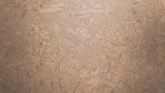 WS-cork-pure-personality-champagne-AJ3K001-Close