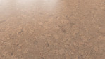 WS-cork-pure-personality-champagne-AJ3K001-Schraeg-Top