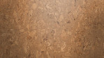 WS-cork-pure-personality-natural-AJ49001-Close