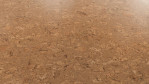WS-cork-pure-personality-natural-AJ49001-Schraeg