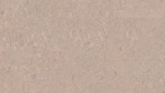WS-cork-pure-personality-timide-AJ3J003-Top