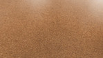 WS-cork-pure-rhapsody-natural-AJ25001-Schraeg