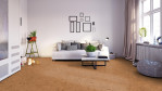 WS-cork-pure-shell-natural-AJ24001-Altbau-02
