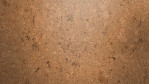 WS-cork-pure-shell-natural-AJ24001-Close