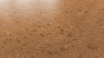 WS-cork-pure-shell-natural-AJ24001-Schraeg-Top
