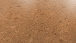 WS-cork-pure-shell-natural-AJ24001-Schraeg