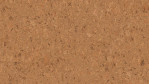 WS-cork-pure-shell-natural-AJ24001-Top