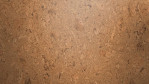 WS-cork-pure-shell-natural-AJ8E002-Close