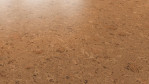 WS-cork-pure-shell-natural-AJ8E002-Schraeg-Top