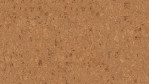 WS-cork-pure-shell-natural-AJ8E002-Top