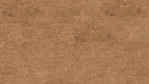 WS-cork-pure-symphony-natural-AJ30001-Top